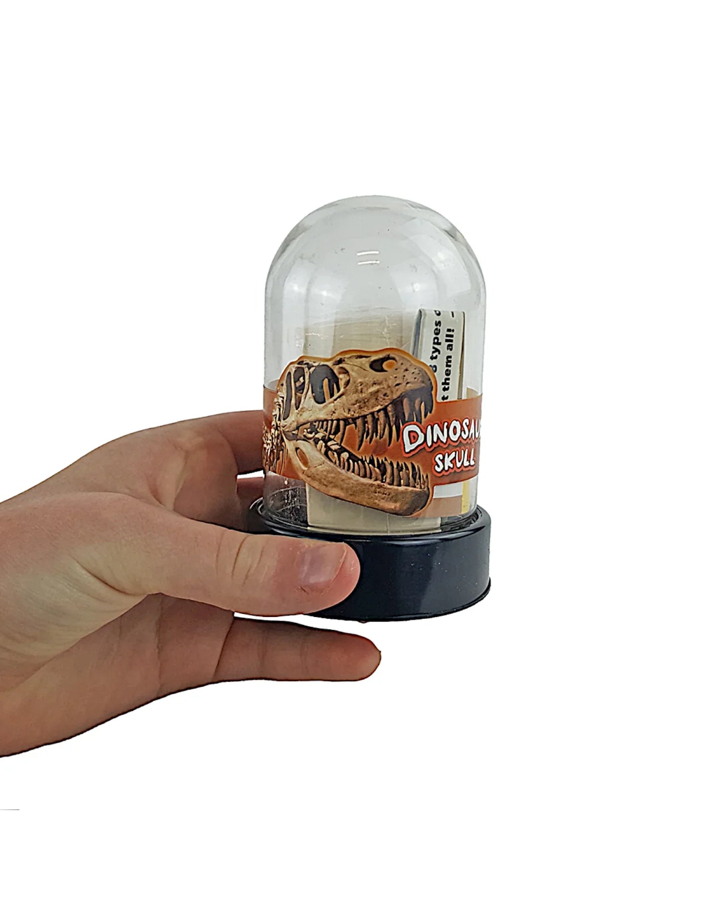 Dino-Schädel-Ausgrabungsset, 8-teilig - TOLLzWOOD
