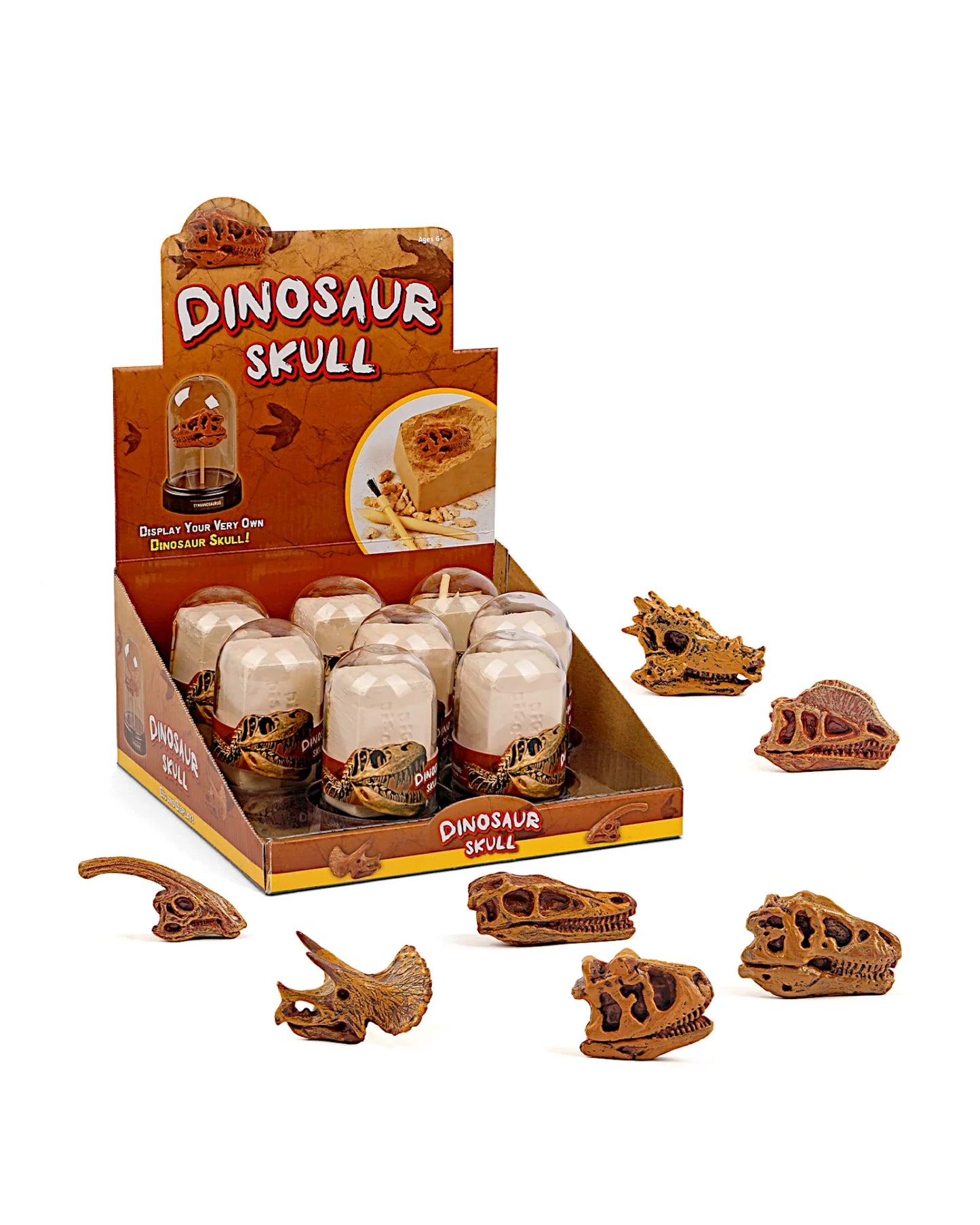 Dino-Schädel-Ausgrabungsset, 8-teilig - TOLLzWOOD