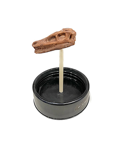 Dino-Schädel-Ausgrabungsset, 8-teilig - TOLLzWOOD