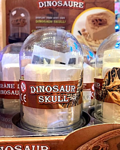 Dino-Schädel-Ausgrabungsset, 8-teilig - TOLLzWOOD