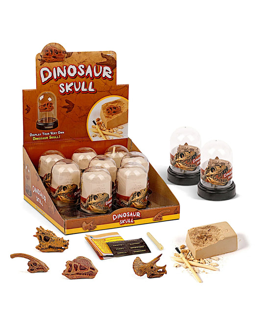 Dino-Schädel-Ausgrabungsset, 8-teilig - TOLLzWOOD