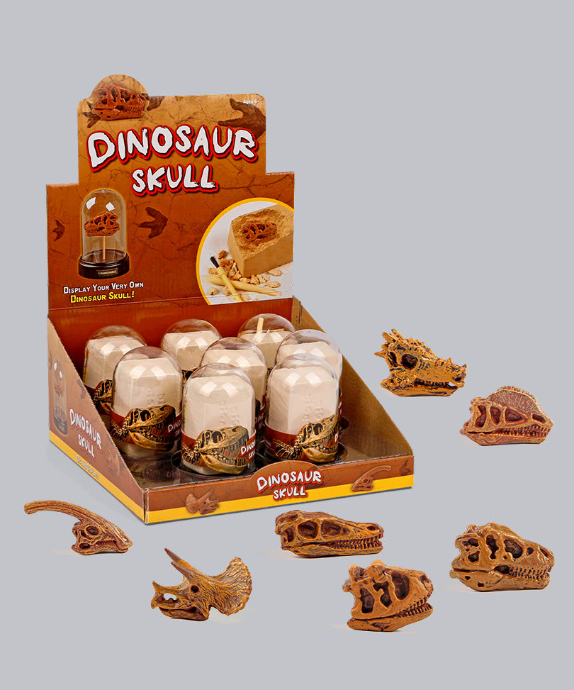 Dinosaur skull excavation kit, 8 pieces