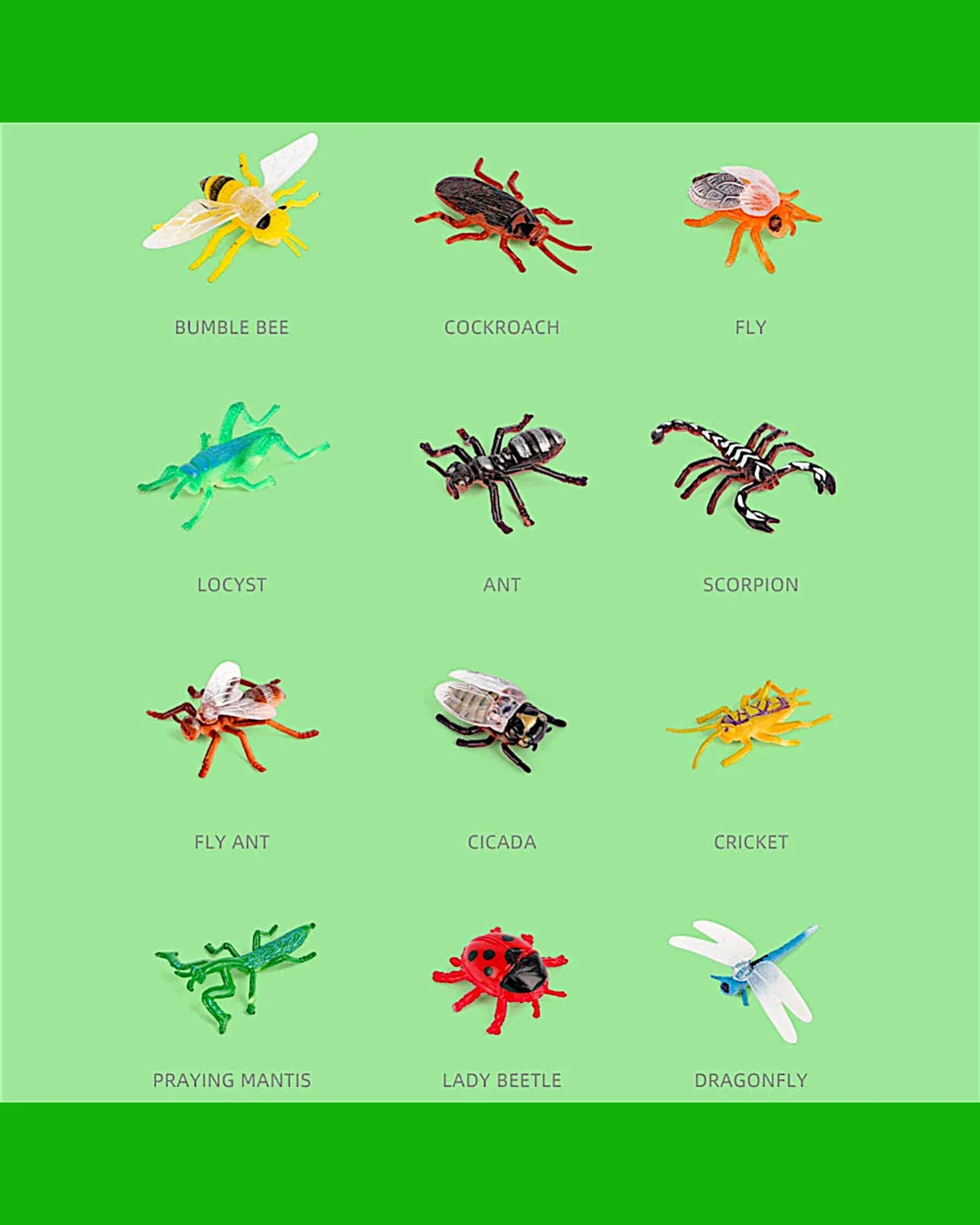 Male deine eigenen Insekten - TOLLzWOOD