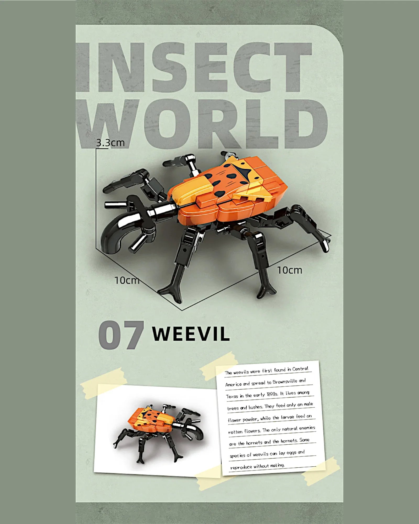 EC-Insekten-Set, 588 Teile - TOLLzWOOD