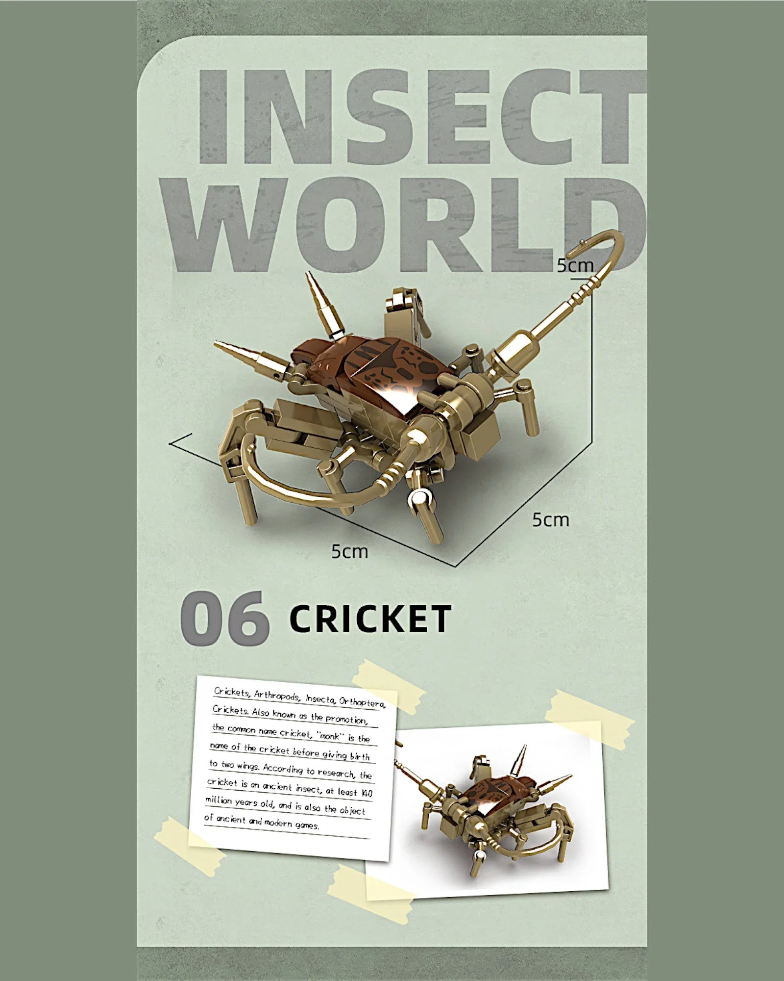 EC-Insekten-Set, 588 Teile - TOLLzWOOD