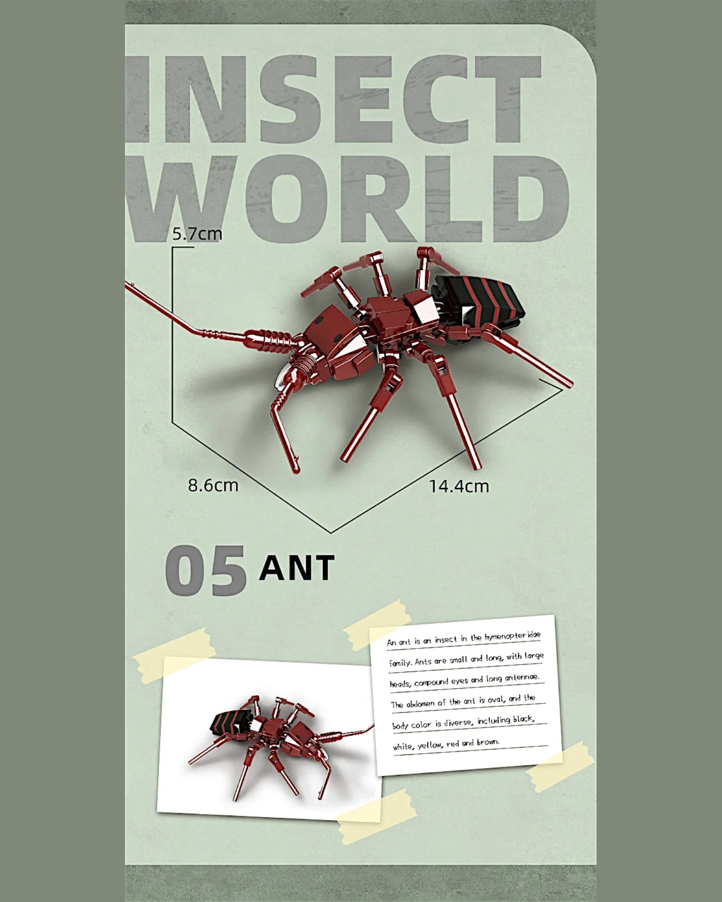EC-Insekten-Set, 588 Teile - TOLLzWOOD