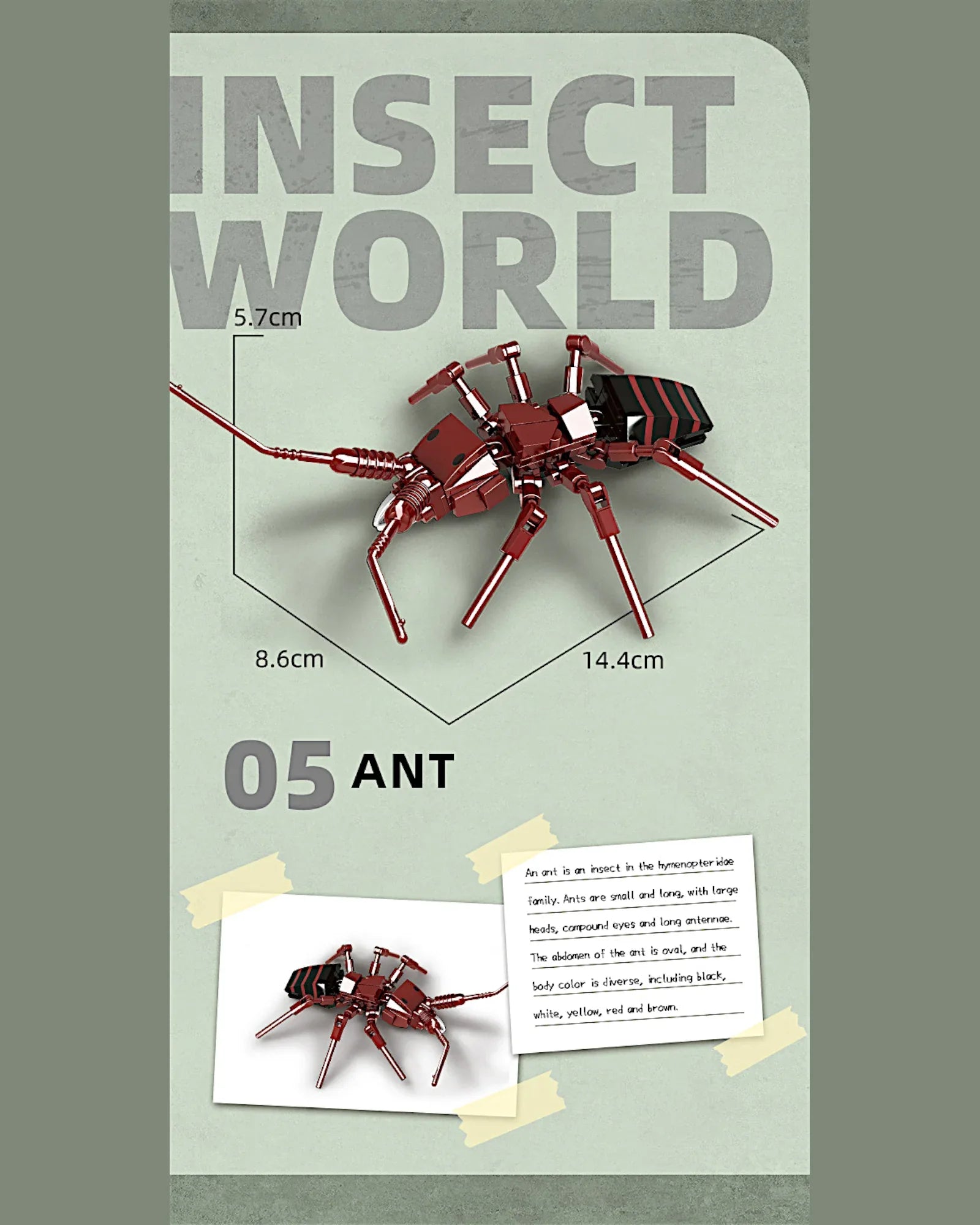 EC-Insekten-Set, 588 Teile - TOLLzWOOD