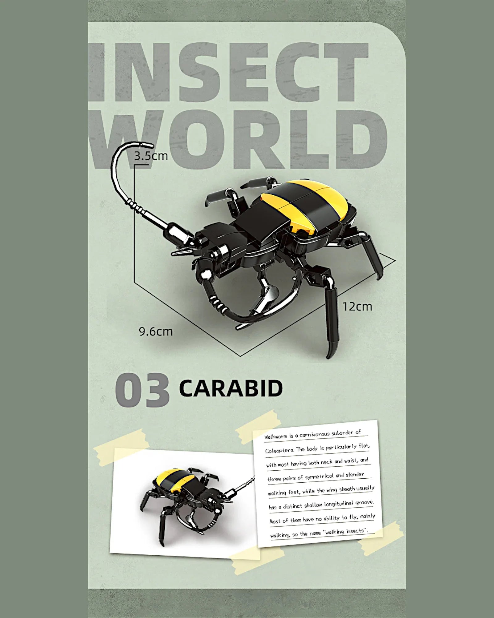 EC-Insekten-Set, 588 Teile - TOLLzWOOD