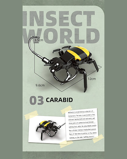 EC-Insekten-Set, 588 Teile - TOLLzWOOD