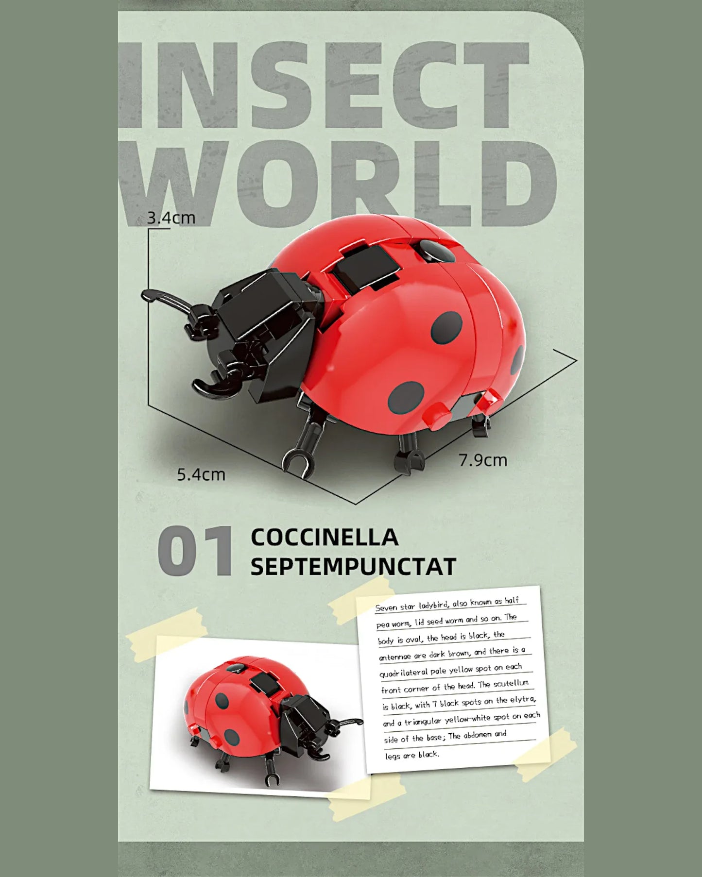 EC-Insekten-Set, 588 Teile - TOLLzWOOD