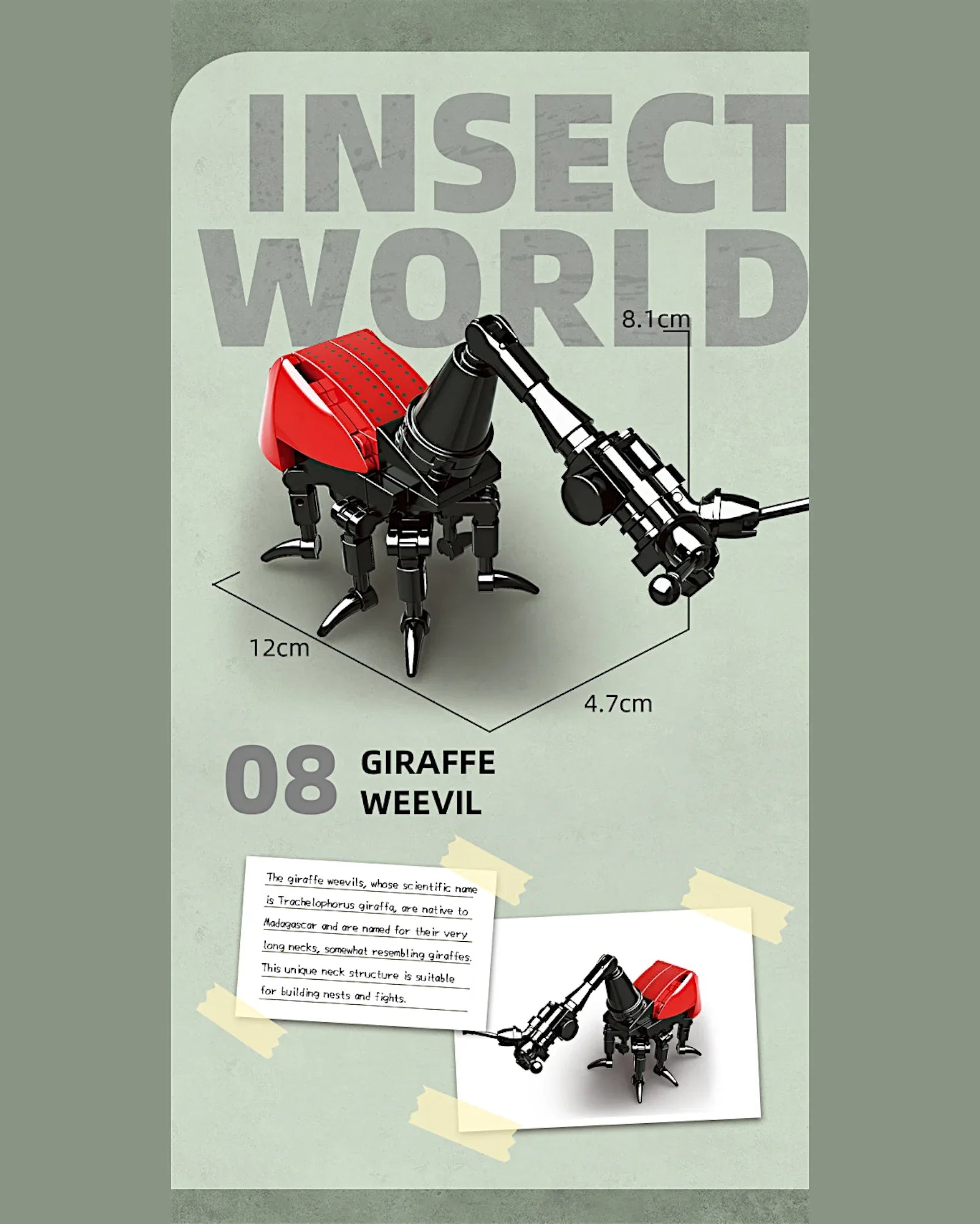 EC-Insekten-Set, 588 Teile - TOLLzWOOD