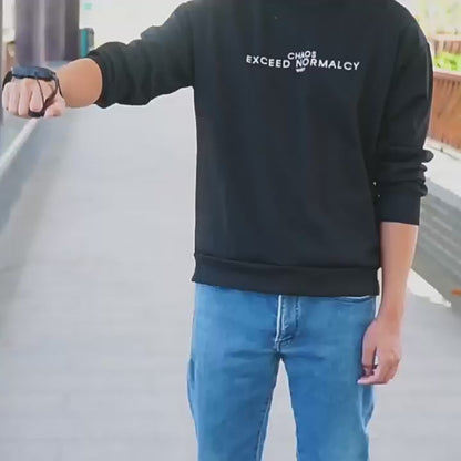 Ferngesteuertes Flugzeug "Sky Explorer"