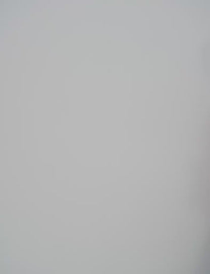 Leder Handtasche "Erika"